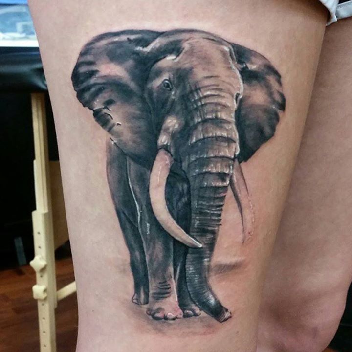 Elephant My Love Tattoo Animal Waterproof For Women Temporary Tattoo –  Temporarytattoowala