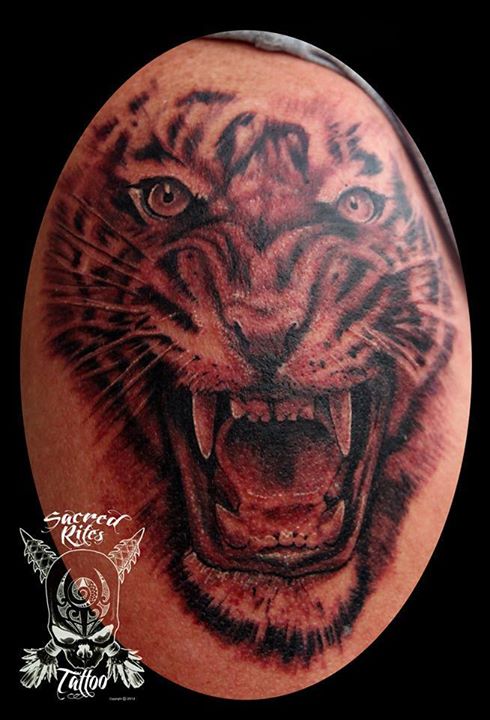 Tattoo uploaded by emirgeylanitattooer • Angry tiger tattoo by Emir Geylani  @emirgeylani7 #wildanimal #wildlife #tigertattoo #realism #blackandgrey •  Tattoodo